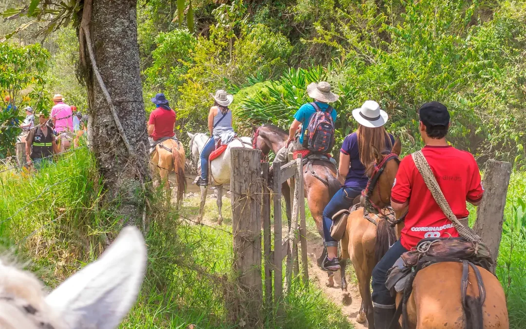 Plan Entre Montañas